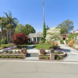 Before and after landscaping transformation example 3